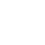DLV